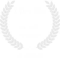 bonfire ngf 2017